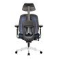   Falto Orto Bionic Mesh  