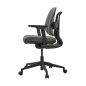   Duorest D2-250  