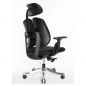   Falto Orto Bionic AM-03A  