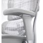   Falto Ergohuman Special Edition EVEREST