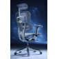   Falto Ergohuman Special Edition EVEREST