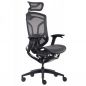    GT Chair Dvary X