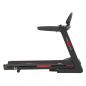    CardioPower T65