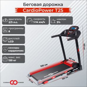   T25