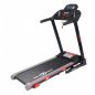    CardioPower T25