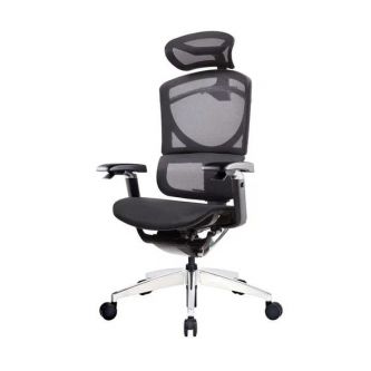    GT Chair Isee X