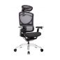    GT Chair Isee X