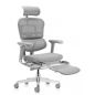   Falto Ergohuman Luxury 2  , 