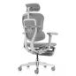   Falto Ergohuman Luxury 2  , 