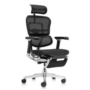  Ergohuman Luxury 2  , 