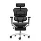   Falto Ergohuman Luxury 2  , 