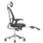   Falto SPRING RSPM 01  , 