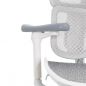   Falto SCALA-OFFICE   ()