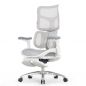  Falto SCALA-OFFICE   ()
