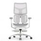   Falto SCALA-OFFICE   ()