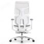   Falto SCALA-OFFICE   ()
