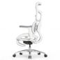   Falto SCALA-OFFICE   ()