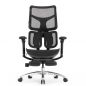   Falto SCALA-OFFICE   ()