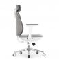   Falto AIWORKS CHAIR (Deluxe Version) 