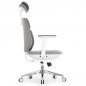   Falto AIWORKS CHAIR (Deluxe Version) 