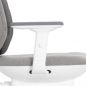   Falto AIWORKS CHAIR (Deluxe Version) 