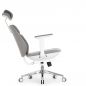   Falto AIWORKS CHAIR (Deluxe Version) 