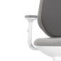   Falto AIWORKS CHAIR (Deluxe Version) 