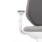   Falto AIWORKS CHAIR (Deluxe Version) 