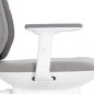   Falto AIWORKS CHAIR (Deluxe Version) 