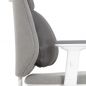   Falto AIWORKS CHAIR (Deluxe Version) 