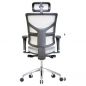   Falto Expert 2 Sail Art 