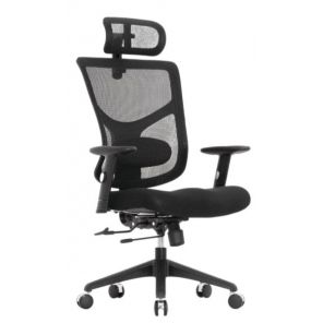  Expert 2 Star Office Ergo