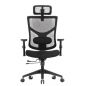   Falto Expert 2 Star Office Ergo