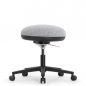   Falto FIT BALL ( / )
