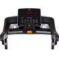    Titanium Masters Physiotech TLC