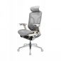   GTCHAIR GT Chair Dvary Pro X, 