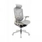   GTCHAIR GT Chair Dvary Pro X, 