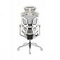   GTCHAIR GT Chair Dvary Pro X, 