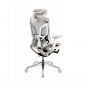   GTCHAIR GT Chair Dvary Pro X, 