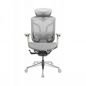   GTCHAIR GT Chair Dvary Pro X, 