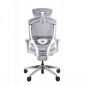   GTCHAIR GT Chair Marrit Pro X, 