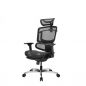   GTCHAIR GTC Open M    , 