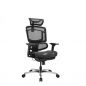   GTCHAIR GTC Open M    , 