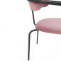  Bradex Home Ant
