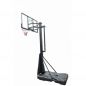    Scholle S023