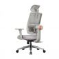    FoxGear NETZ  E, 