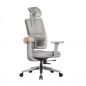    FoxGear NETZ  E, 
