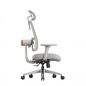    FoxGear NETZ  E, 
