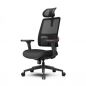    FoxGear NETZ  E, 