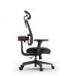    FoxGear NETZ  E, 